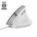 Trust Bayo II muis Kantoor Rechtshandig USB Type-A Optisch 2400 DPI