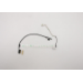 Lenovo EDP RG cle for Lenovo Odin
