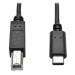 Tripp Lite U040-006 USB-C to USB-B Cable - USB 2.0, (M/M), 6 ft. (1.83 m)