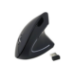 Equip Ergo wireless mouse