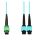 AddOn Networks ADD-AMPO-2MPO5M5OM4LZ InfiniBand/fibre optic cable 5 m MPO 2x MPO OFNG Aqua colour, Green