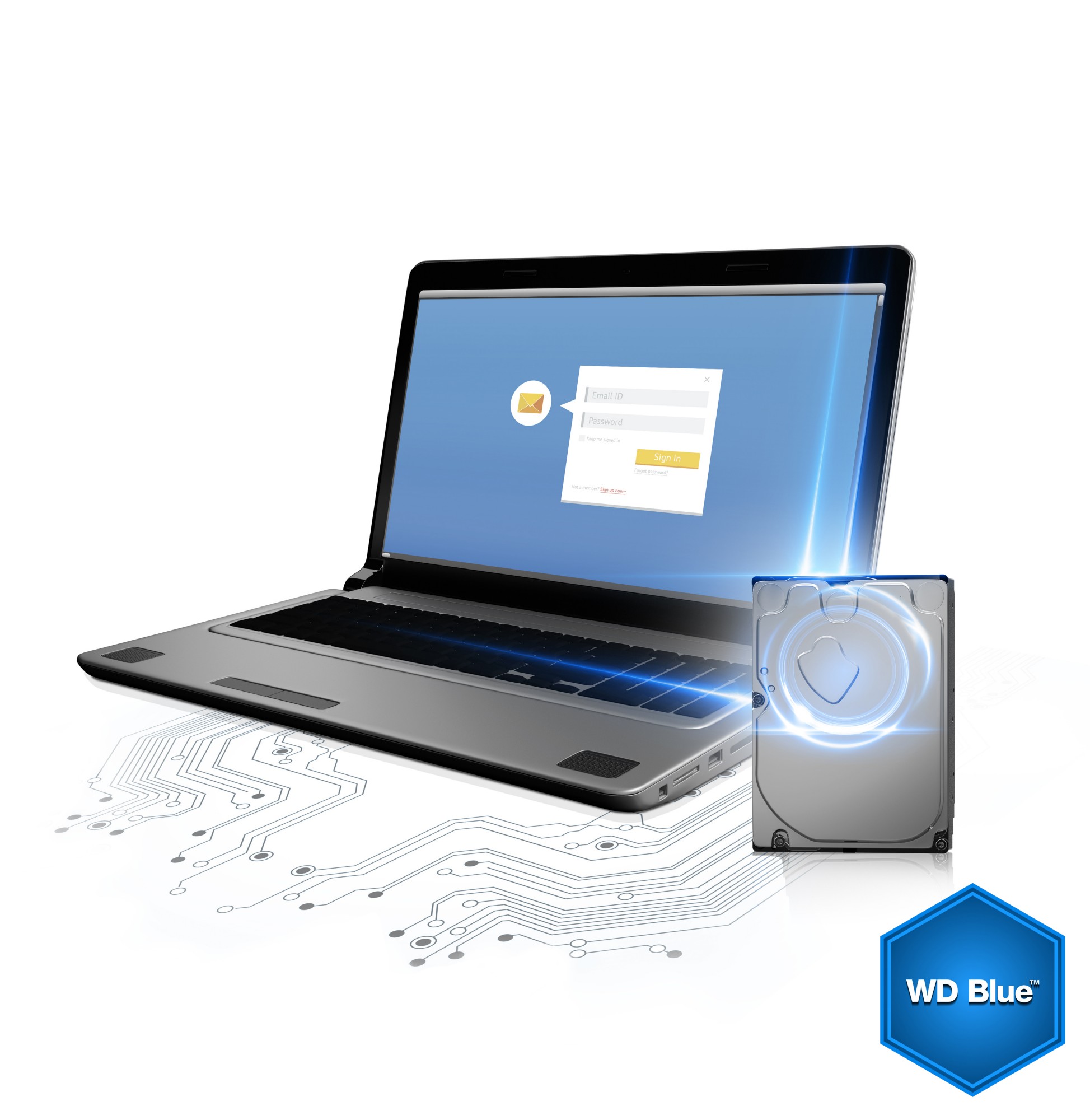 Western digital stock options