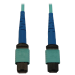 Tripp Lite N846B-10M-24-P InfiniBand/fibre optic cable 393.7" (10 m) MPO/MTP OFNR Aqua color, Black, Blue