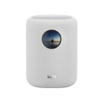 WiiM Sound 2-way White Wired & Wireless 100 W