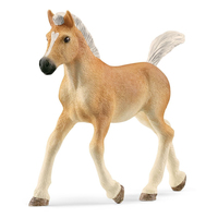 Image of Schleich HC Haflinger Fohlen 13951