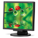 NEC MultiSync LCD175M computer monitor 43.2 cm (17") 1280 x 1024 pixels LED Black