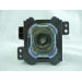 Diamond Lamps Lamp for JVC DLA-HD1:DLA-HD10:DLA-HD100:DLA-HD1WE:DLA-RS1:DLA-RS1X:DLA-RS2:DLA-VS2000 Projector