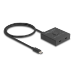 DeLOCK 18911 interface hub USB 3.2 Gen 2 (3.1 Gen 2) Type-C 10000 Mbit/s Zwart