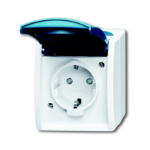 Busch-Jaeger 20EW-53 socket-outlet White