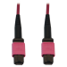 Tripp Lite N845B-01M-12-MG InfiniBand/fibre optic cable 39.4" (1 m) MPO/MTP OFNR Black, Magenta