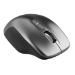 Canyon MW-21 mouse Right-hand RF Wireless Optical 1600 DPI