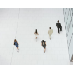 Bosch MBV-XSUB-75 softwarelicentie & -uitbreiding Basis 1 licentie(s) Licentie