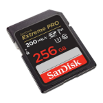 Sandisk Extreme PRO 256 GB