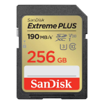 SanDisk SDSDXW2-256G-GNCIN 64 Go SDXC Classe 10