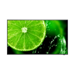 Sharp NEC MultiSync E438 LCD 43' Essential Large Format Display