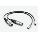 Blackmagic Design Video Assist Mini XLR Cables audio kabel 0,495 m mini XLR (3-pin) XLR (3-pin) Zwart