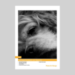 DPSB Innova Resin Coated Photo Metallic Lustre - A4 x 50 Sheets - 260gsm
