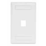 Hubbell IFP11W wall plate/switch cover White