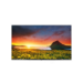 LG 55UR762H hospitality TV 139.7 cm (55") 4K Ultra HD 400 cd/m² Smart TV Black 10 W