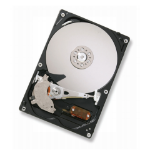 Western Digital Deskstar P7K500 internal hard drive 500 GB 7200 RPM 16 MB 3.5" Serial ATA II
