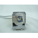 Diamond Lamps Lamp for BENQ MS511h:MS521:MW523:MX522:TW523 Projector