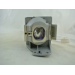 Diamond Lamps Lamp for ACER H6510BD:P1500 Projector