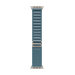Apple MFTH4ZM/A smart wearable accessory Band Blue Titanium, Polyester, Spandex