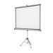 1902396W - Projection Screens -