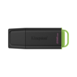 Kingston Technology DataTraveler 256GB Portable USB 3.2 Gen 1 Exodia Black/Green
