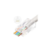 Lanview LVN125306 wire connector RJ45 Transparent