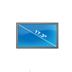 Protect 17.3" Laptop screen protector