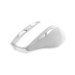 Trust Nito souris Universel Droitier RF sans fil Optique 2200 DPI