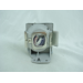 Diamond Lamps Lamp for BENQ MH680:TH680:TH681:TH681+:MH630 Projector