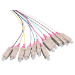 LOGON PROFESSIONAL Fier Pigil Se 12x SC OM4