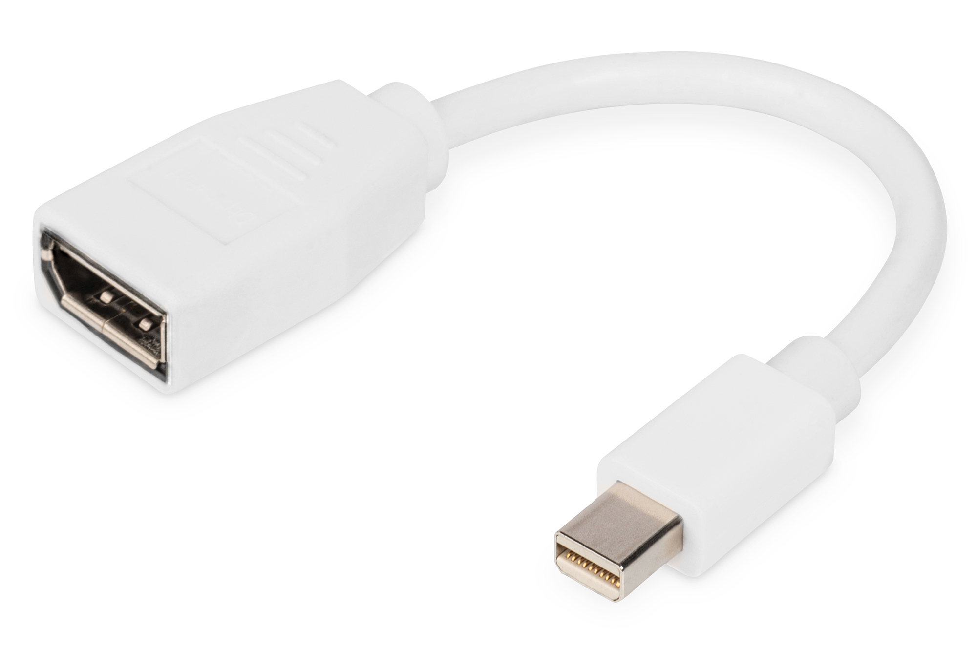 Image of Digitus DisplayPort adapter cable, mini DP - DP