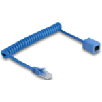 DeLOCK 90364 networking cable Blue 0.75 m Cat6 U/UTP (UTP)