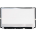CoreParts MSC156F30-137M notebook spare part Display