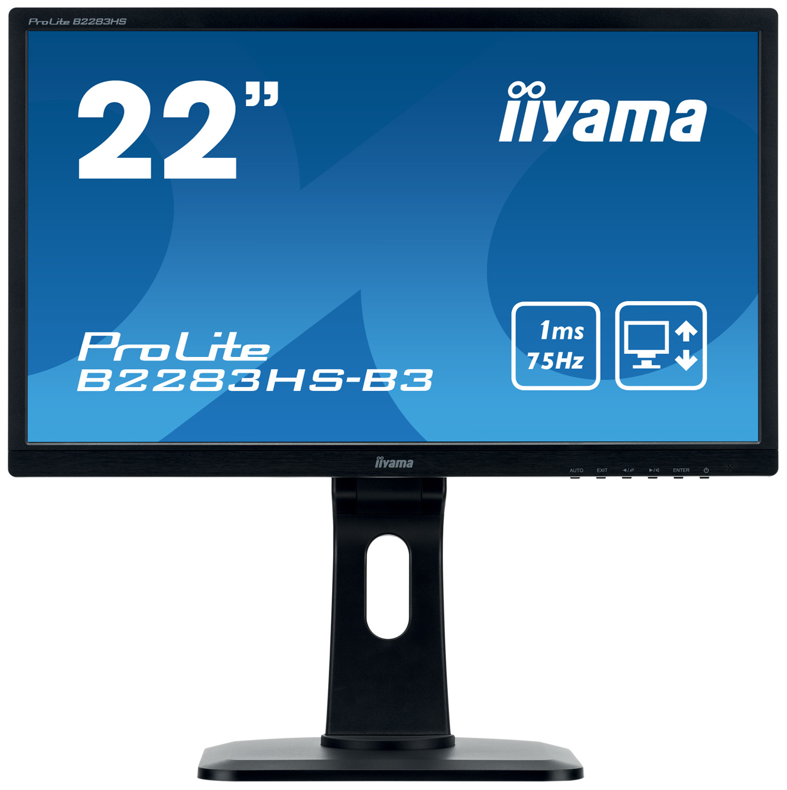 iiyama ProLite B2283HS-B3 LED display 54.6 cm (21.5") 1920 x 1080 pixels Full HD Black