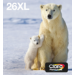 Epson Polar bear Multipack 4-colours 26XL EasyMail