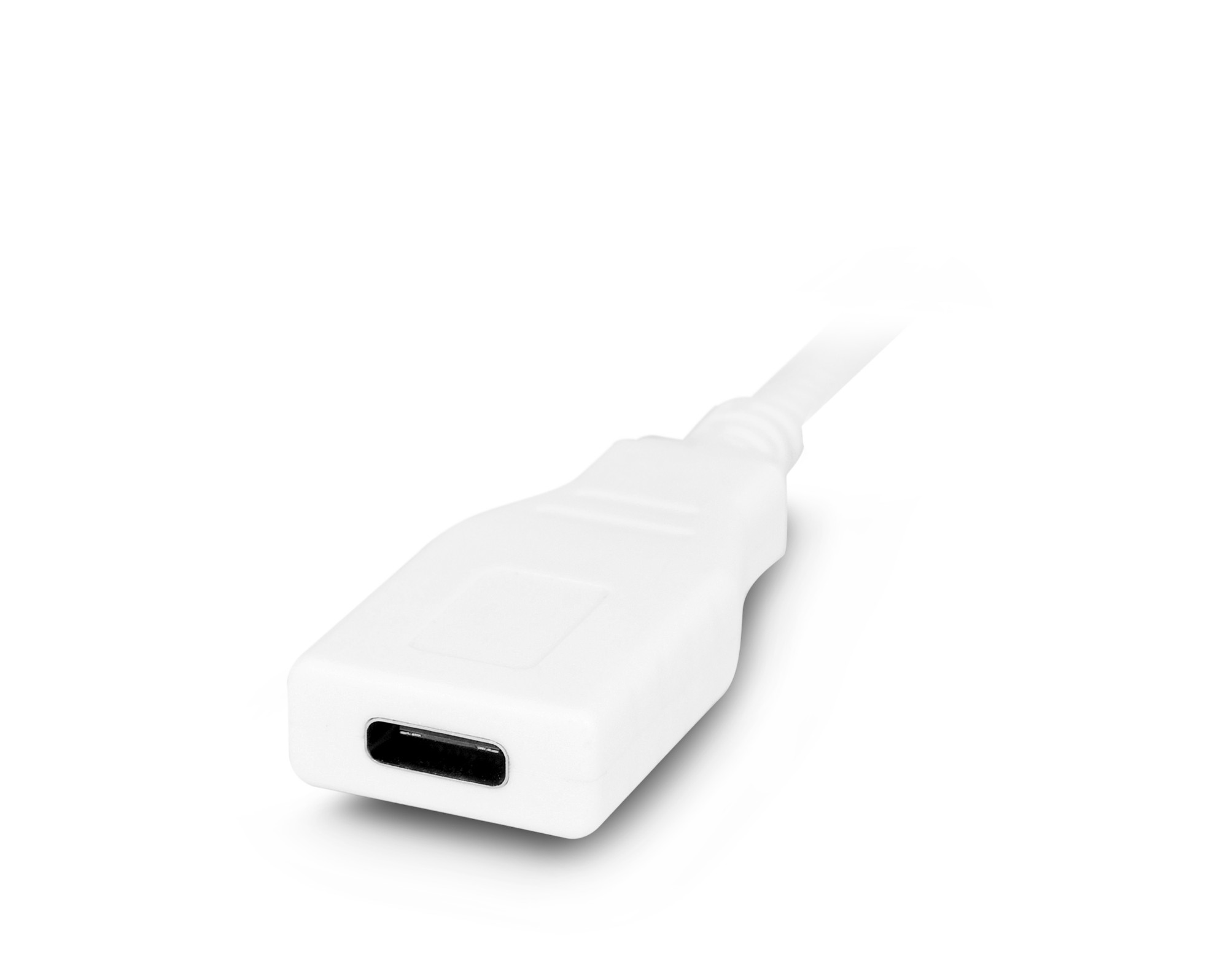Urban Factory Cable USB-C extension 1m white (USB-C male to USB-C female)