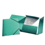 Esselte 1326508 folder Cardboard Green A4