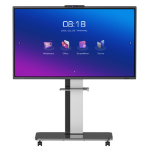 Horion All in One Collaboration display 65in