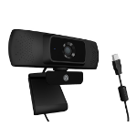 ICY BOX IB-CAM301-HD webcam 1920 x 1080 Pixels USB 2.0 Zwart