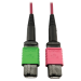 Tripp Lite N846D-01M-16BMG InfiniBand/fibre optic cable 39.4" (1 m) MTP OFNP Magenta