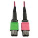 Tripp Lite N846D-03M-16BMG InfiniBand/fibre optic cable 118.1" (3 m) MTP OFNP Magenta