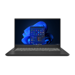 MSI Summit A11MT-401 Laptop 15.6" Touchscreen Full HD Intel® Core™ i7 i7-1165G7 16 GB DDR4-SDRAM 1 TB SSD Wi-Fi 6 (802.11ax) Windows 10 Pro Black