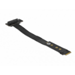 DeLOCK 64135 interfacekaart/-adapter Intern U.2