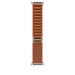 Apple MFTC4ZM/A smart wearable accessory Band Brown Titanium, Polyester, Spandex