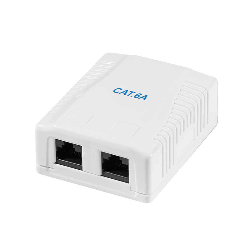 LogiLink Cat.6A Surface Mounted Box 2 x RJ45, unshielded
