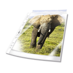 Durable 265819 sheet protector 100 pc(s)